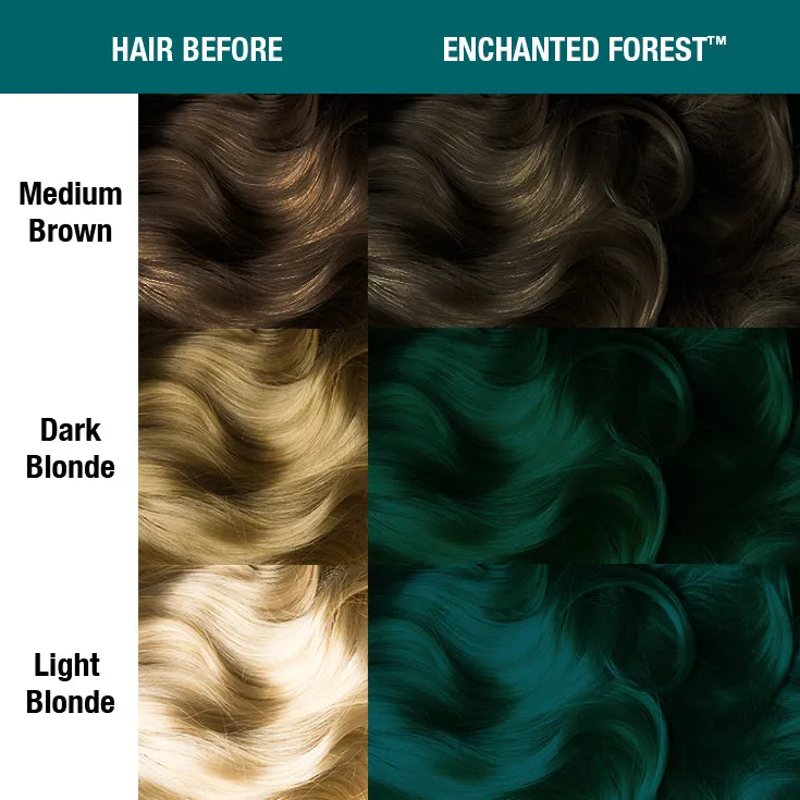 Enchanted Forest® - Classic High Voltage®