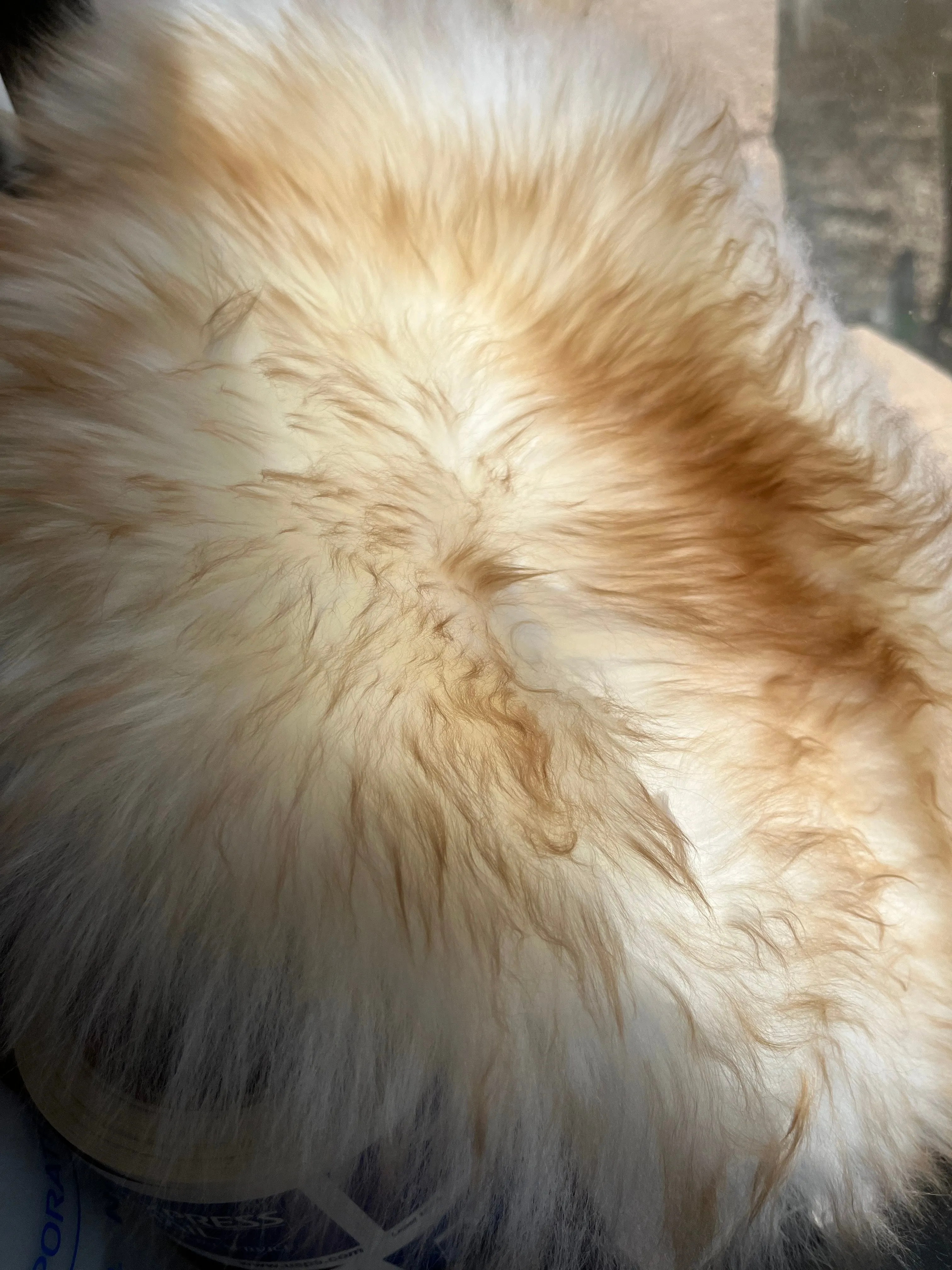 Full Pelt without Straps Sheepskin Buttpad™